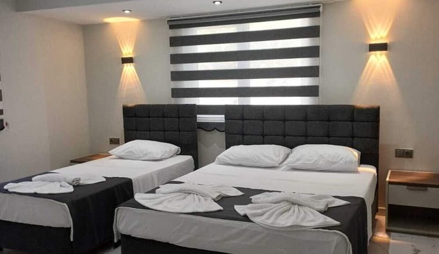 Olive House in Denizli