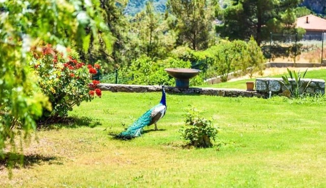 Greenery Home with Shared Pool in Marmaris