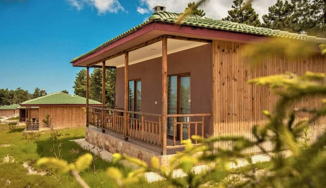 May Villas Cet Mountain 2-1 Bungalow 204 in Ünye