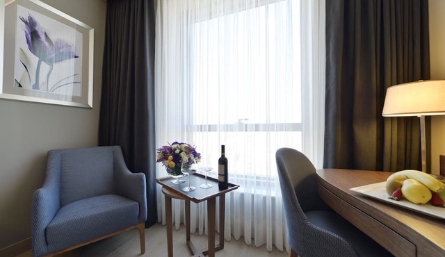 Holiday Inn Bursa - City Centre by IHG in Bursa