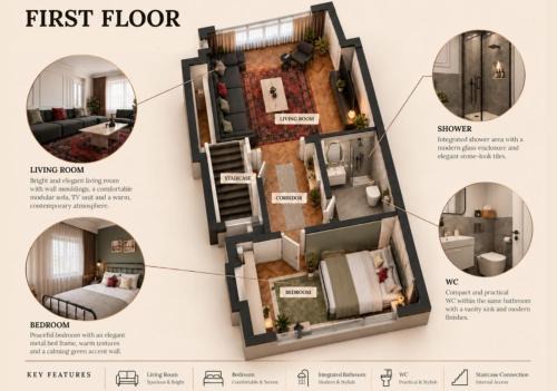 Premium Family House for 10 Near Taksim in Istanbul