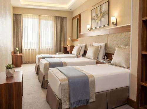 Hotel Buyuk Paris in Istanbul