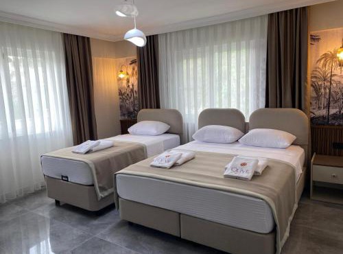 Olive House in Pamukkale