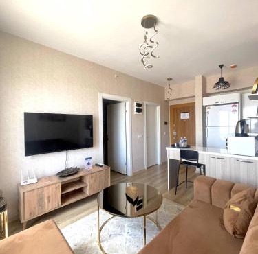 Classic Suite TS22