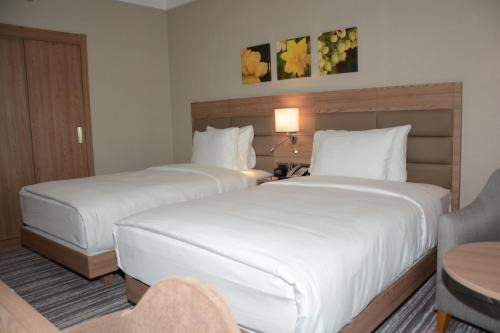 Park Dedeman Adıyaman Hotel in Adıyaman