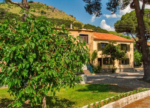 Elaia Hotel in Bergama